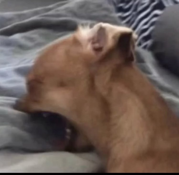 Sorry for the lack of posts, life has been kicking my ass along with catching up on updates for games. I gotta get the secure boot shit done so I can play Battlefield 6.