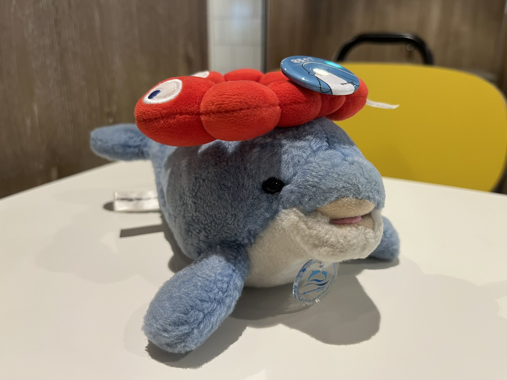 イルカちゃん専用 81EdS3OukeL._UF894,1000_QL80_.jpg