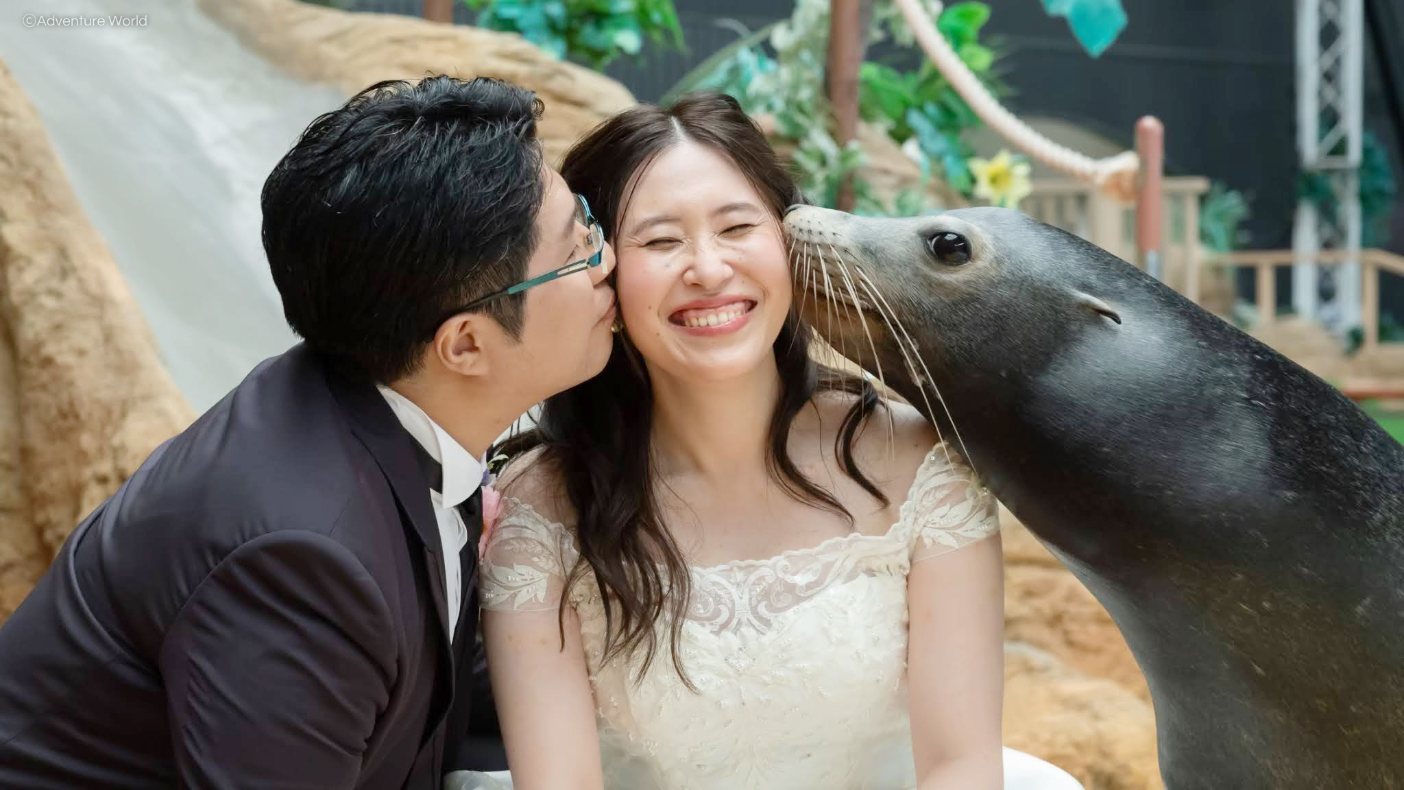 ポム　アドベンチャーワールド　新作3点 アドベンチャーワールド 公式 (@aws_official) / X