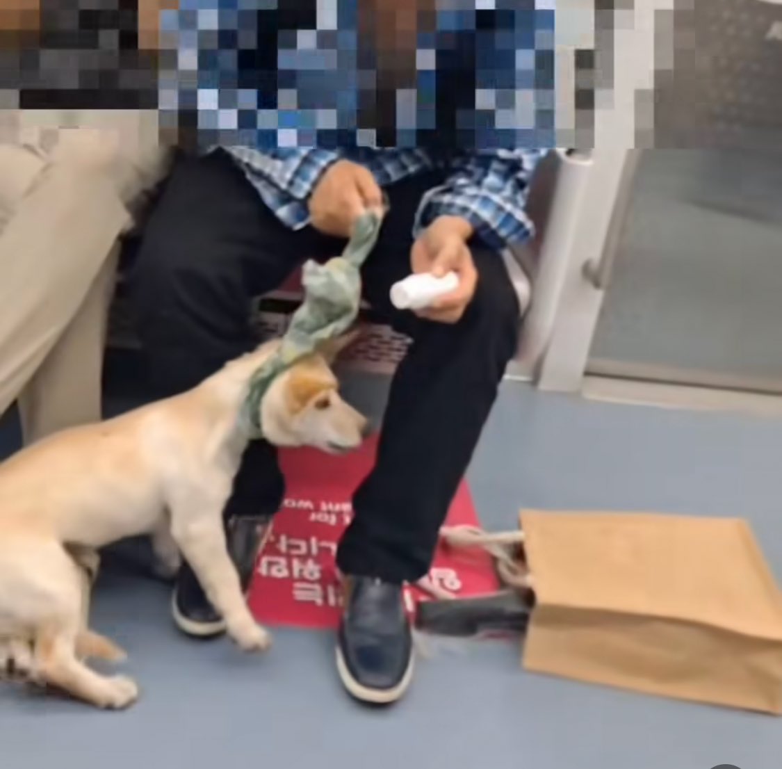 물파스학대 강아지의 행방을 아직 찾고 있습니다. 청량리역 근처에서 개를 세마리 키우는 남성이라고 해요. 제보가 절실합니다! 동물단체 케어로 연락주세요! 🆘