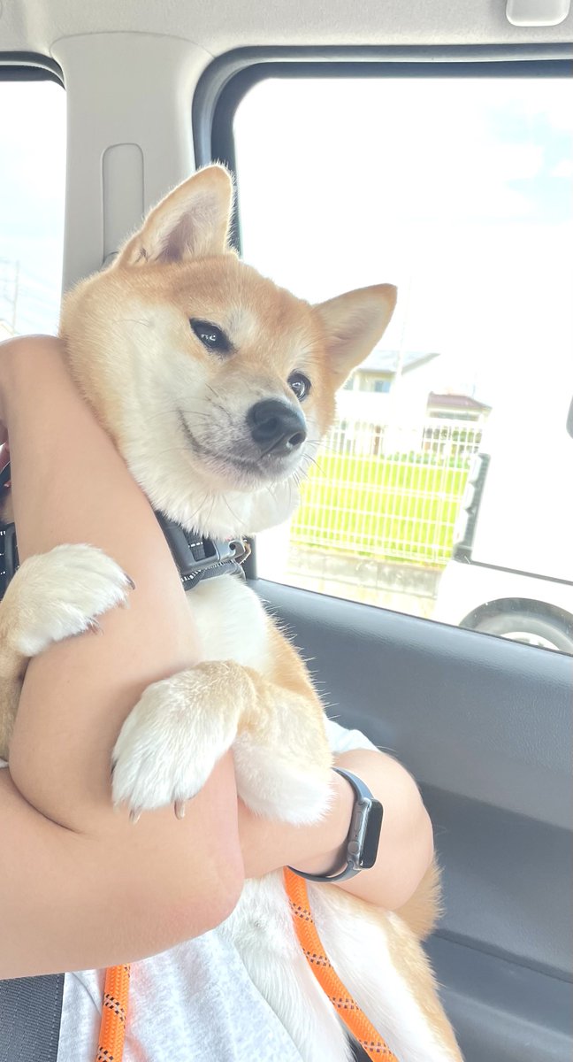 ちゃむ Liame Do Trambulador Ipanema 90/98, Kadett 89/98 E Monza 82