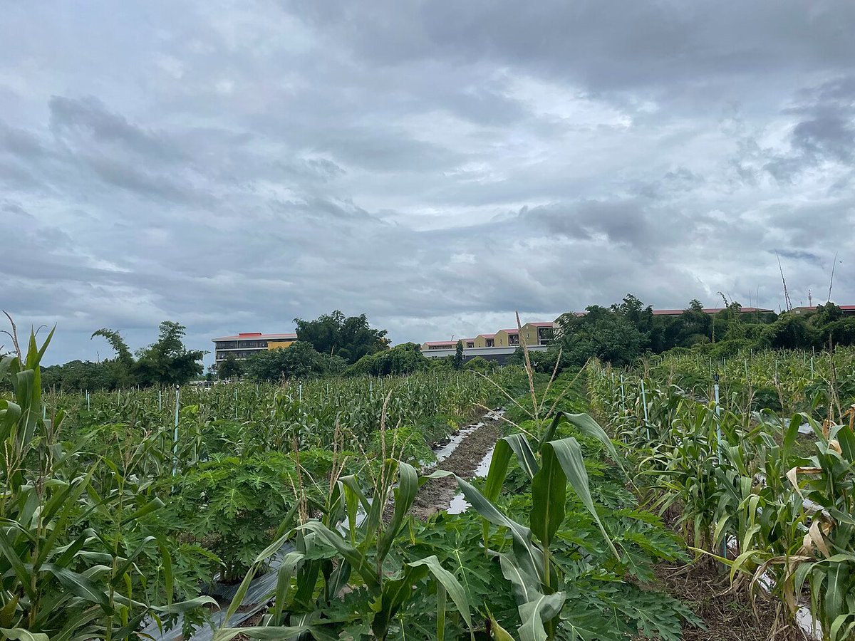 zhzhcho1's tweet photo. 这个地方就是我家狗拉屎都不愿意的地方，因为里面有狗中狗，“黄鹏、游子梦、张金、金姓人士、“冬瓜”叫kk厕所 https://t.co/1MbpXV5vWg