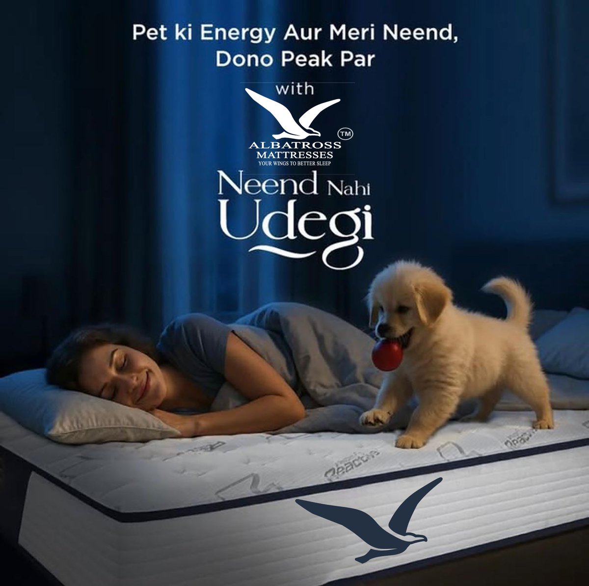 Albatrossindia7's tweet photo. Pet ki energy ✅
Meri neend ✅
Dono peak par — with Albatross Mattresses ���💤

#NeendNahiUdegi #AlbatrossMattresses #BetterSleepEveryNight #PetParents #yourwingstobettersleep https://t.co/NNfc0v2edG