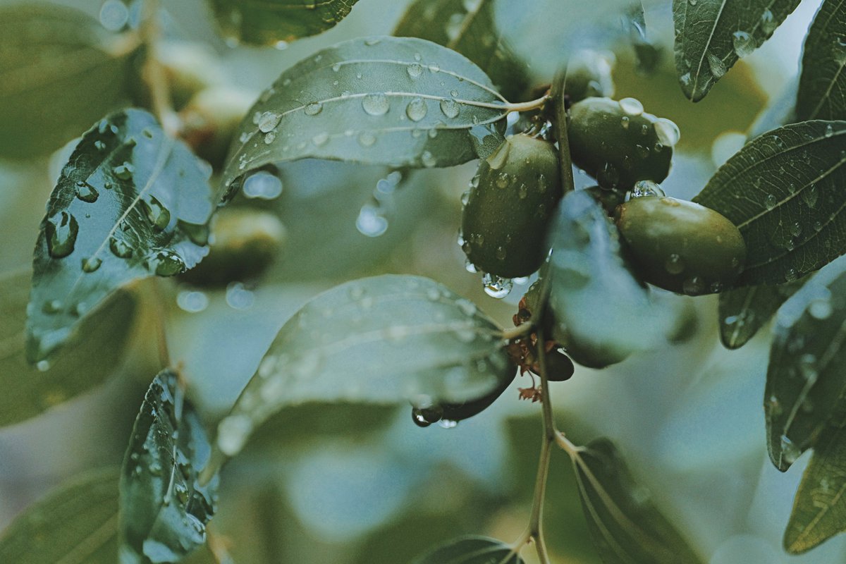 𝚖𝚘𝚗𝚔𝚢𝙳𝙸𝙾 (@monkydio) on Twitter photo 