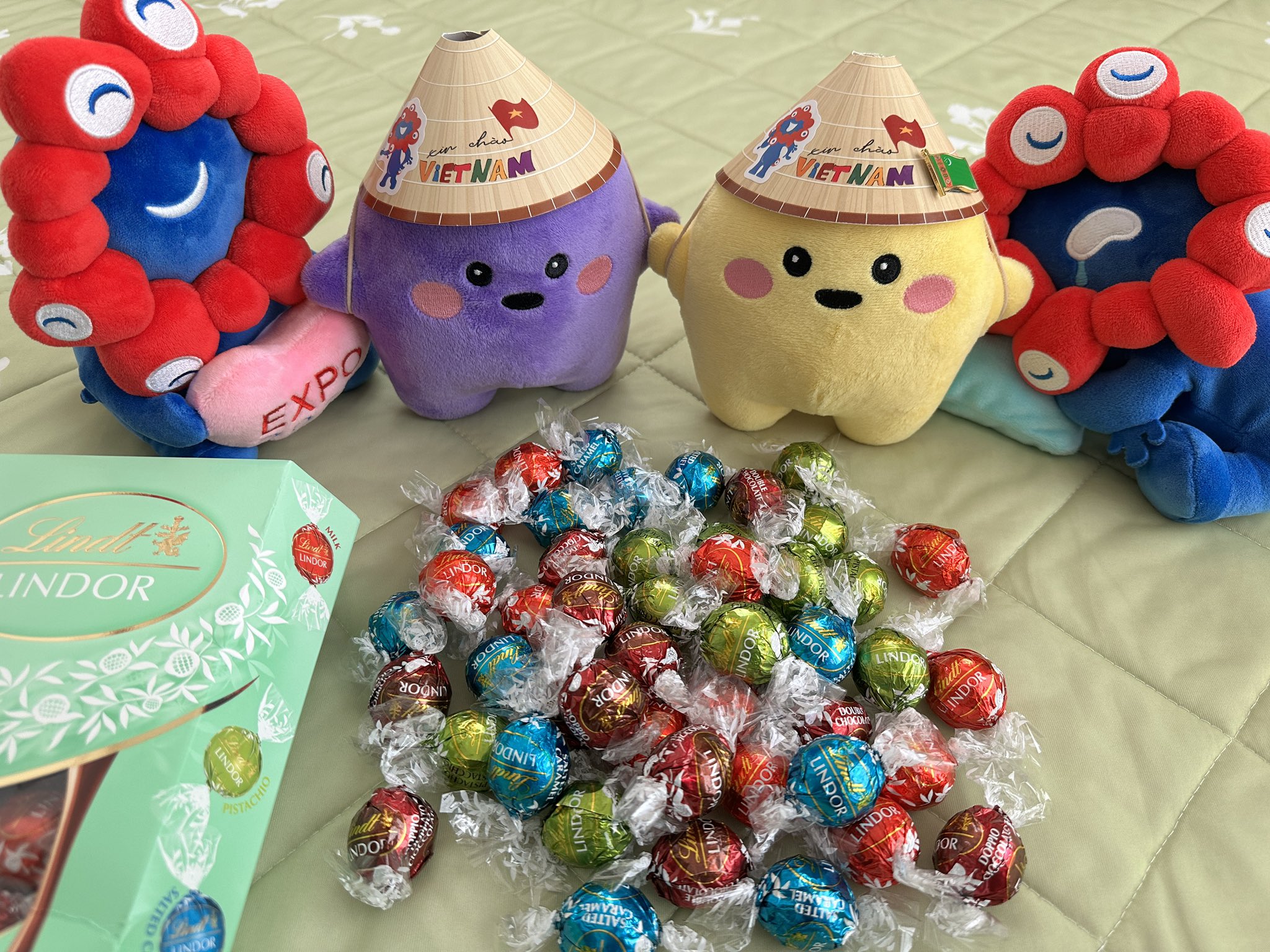 Lindt - にゃんにゃんページ リンツ - البحث / X