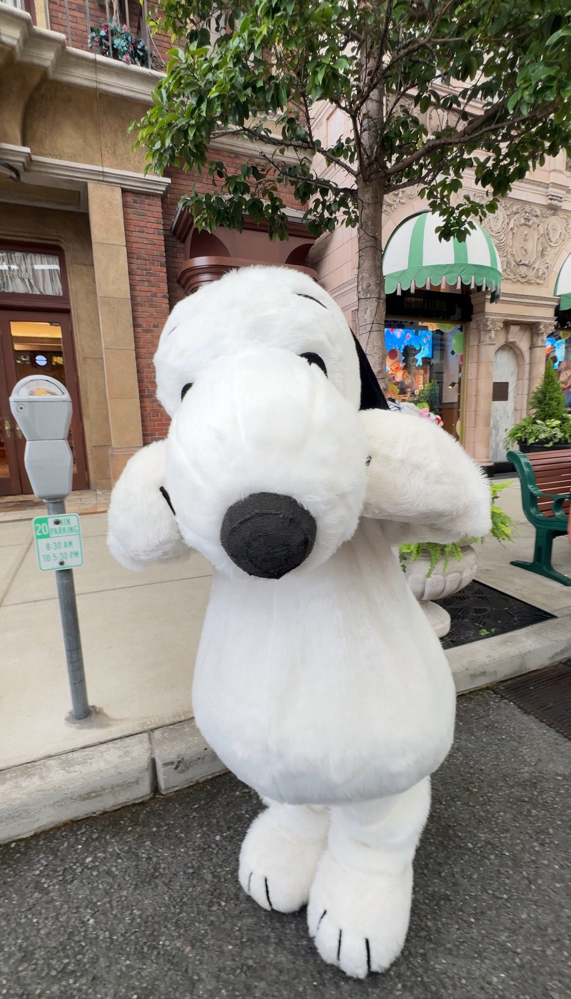 SNOOPY - スヌーピーシオネセレクト❤D SNOOPY - Search / X