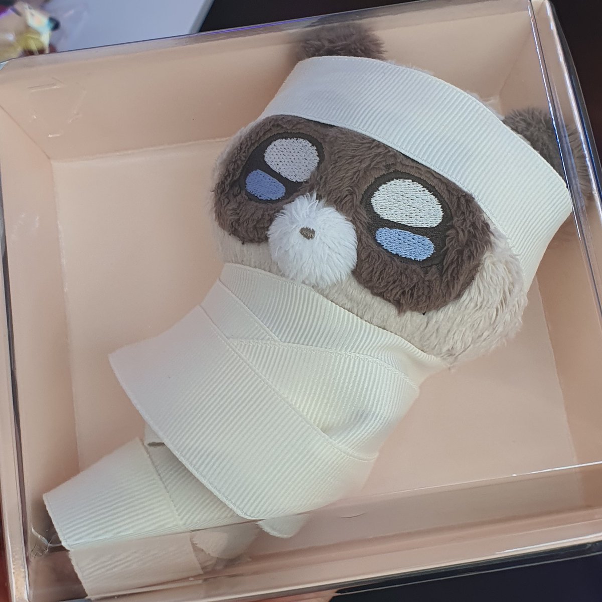 눈나 나 미라가되... ( o̴̶̷̥᷅︿o̴̶̷᷄ )