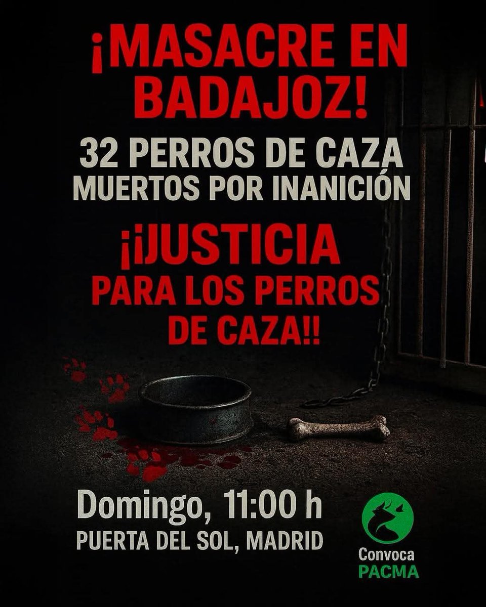 plataforma_NAC's tweet photo. 🆘CONCENTRACIÓN URGENTE POR LOS 32 PERROS DE CAZA QUE HAN MUERTO DE INANICIÓN EN #Badajoz 
Convocada por @PartidoPACMA  - Partido Animalista
🚩Madrid
Domingo 10 de agosto
Puerta del Sol
⏰11:00 h

BASTA YA DE MALTRATO ANIMAL
#NoAlaCaza #VictimasDeLaCaza
#LaVerdadDeLaCaza https://t.co/9u3VYdQvu8