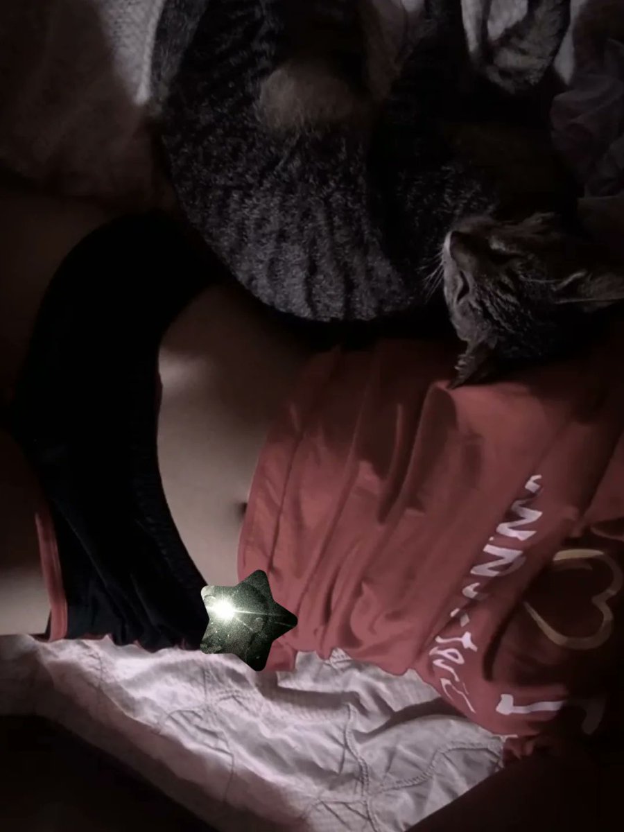 แมวอ้วน😺