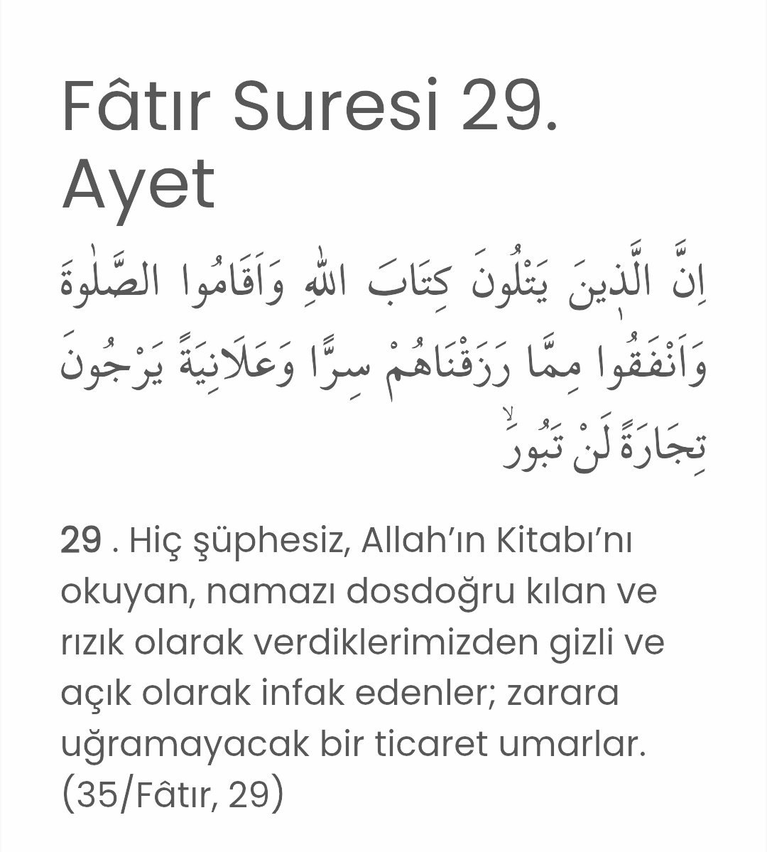(35/Fâtır, 29)