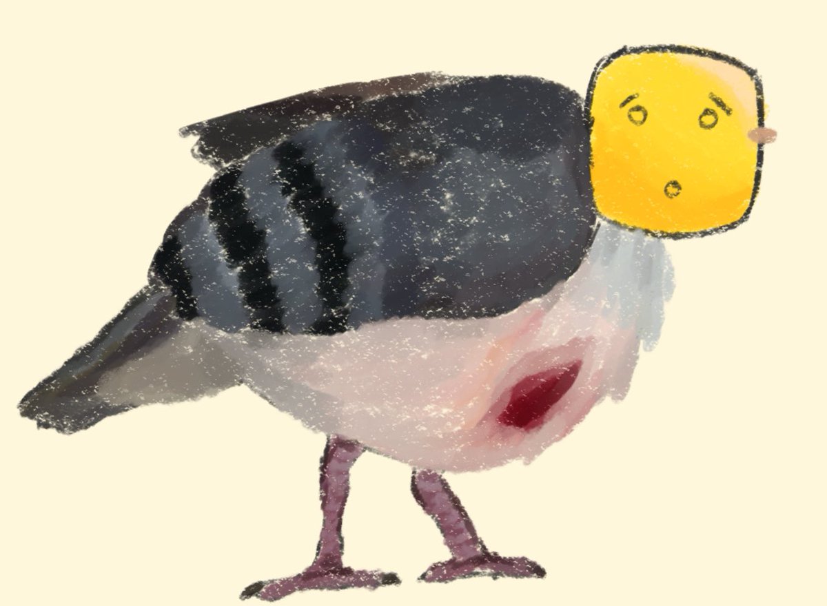 mequot bird ok