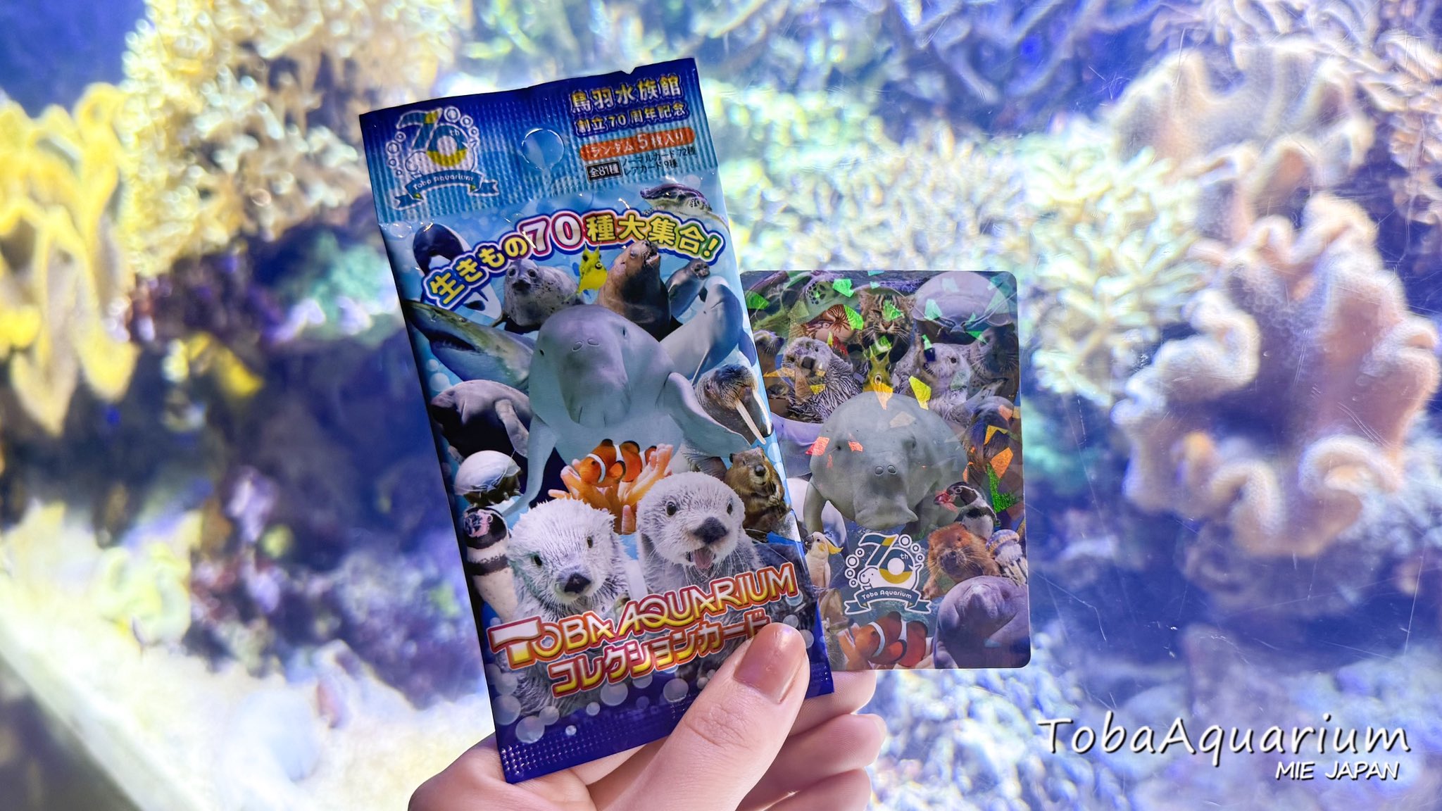 鳥羽水族館（TOBA AQUARIUM） on X: 