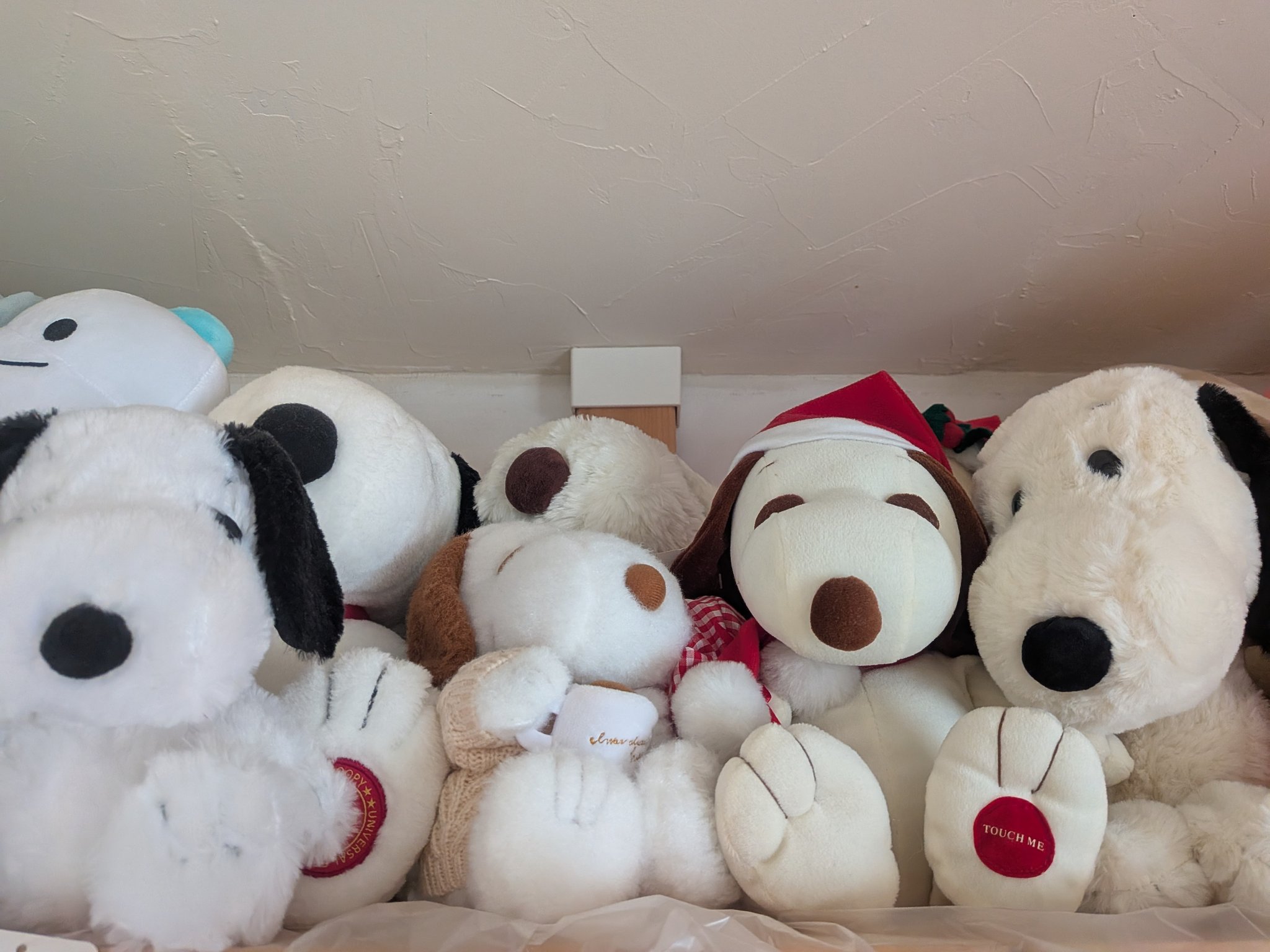 SNOOPY - スヌーピーシオネセレクト❤D SNOOPY - Search / X