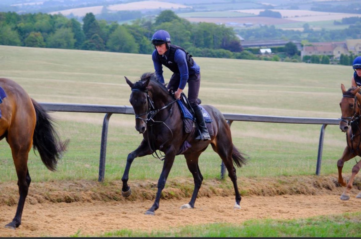 DCBloodstock France (@dannyco75831415) on Twitter photo Happy To See Leowood ๐Settling In Well <a href="/kimbaileyracing/">Kim Bailey & Mat Nicholls Racing</a> Newly Resurfaced Galop.Having Ridden In Races In ๐ฎ๐ชAnd Looked After Some Great National Hunt Horses Myself It Can Be Benefical When Selecting Potential Winners.๐๐ซ๐ท๐ Happy To See Leowood ๐Settling In Well <a href="/kimbaileyracing/">Kim Bailey & Mat Nicholls Racing</a> Newly Resurfaced Galop.Having Ridden In Races In ๐ฎ๐ชAnd Looked After Some Great National Hunt Horses Myself It Can Be Benefical When Selecting Potential Winners.๐๐ซ๐ท๐