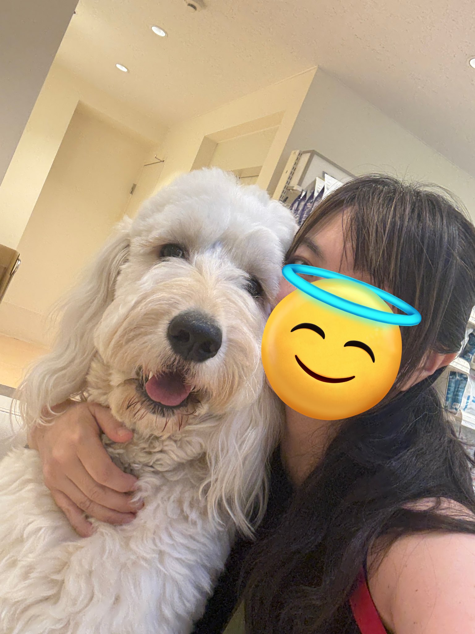 ダックスママ Amazon | I Love You Loveのダックスフンド犬のペア30 x 17
