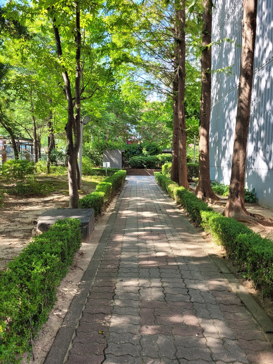 오후의 산책 😎