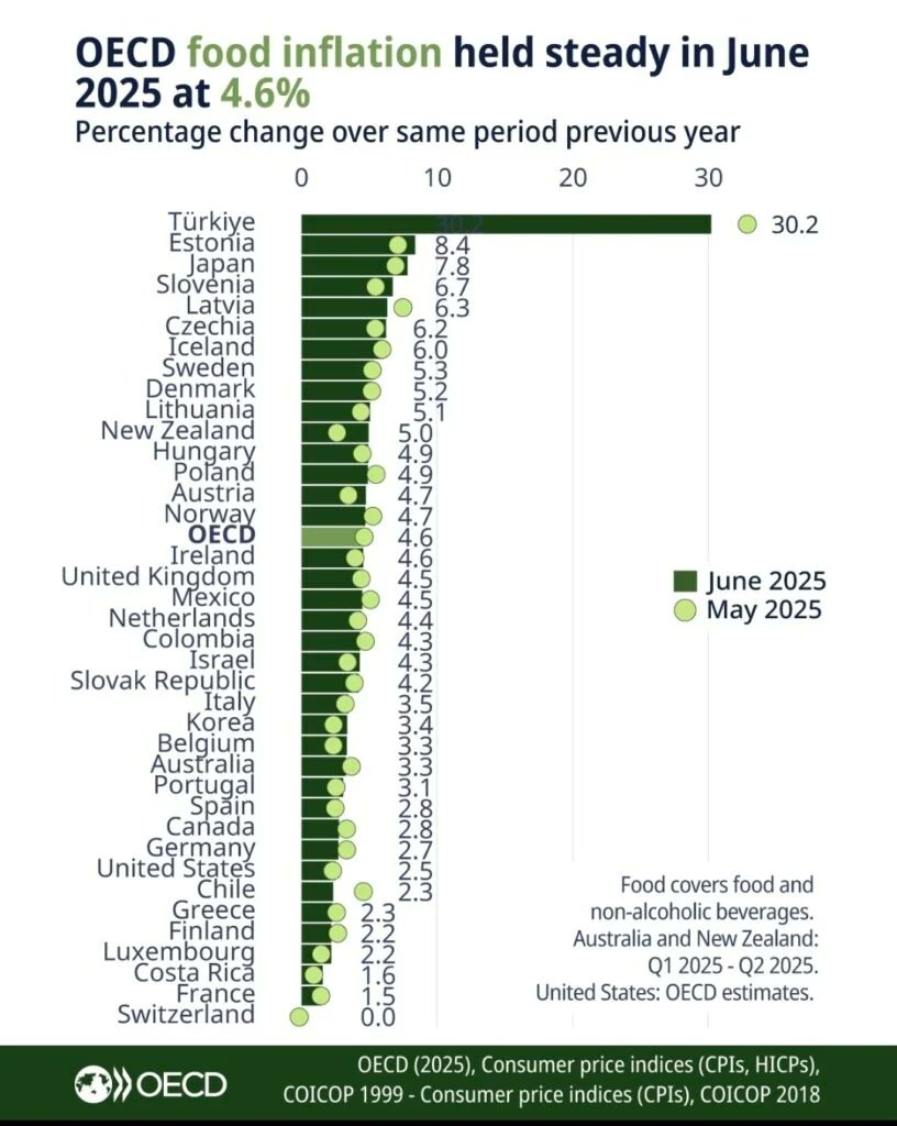 OECD’nin haziran raporuna göre Türkiye, gıda fiyatlarının yıllık en fazla arttığı ülke oldu.