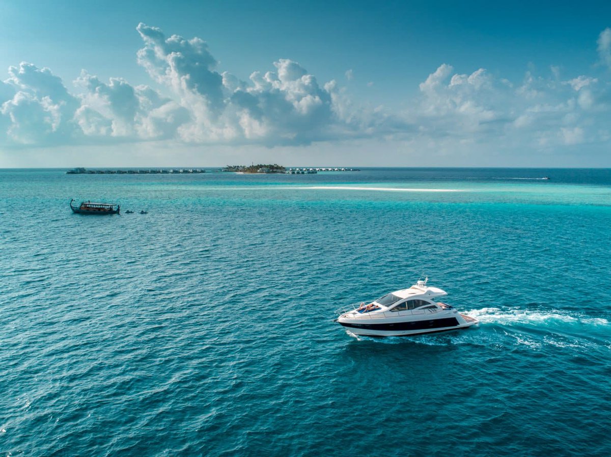 Maldives in KSA (@mdvinsaudi) on Twitter photo 🇲🇻✨
المالديف… حيث يلتقي صفاء السماء بزُرقة البحر، وتتحول الأحلام إلى واقع.
🌊🌴 وجهتكم القادمة للجمال الهادئ والرفاهية المطلقة
#visitmaldives #SunnySideofLife #Maldives <a href="/visitmaldives/">Visit Maldives</a> 🇲🇻✨
المالديف… حيث يلتقي صفاء السماء بزُرقة البحر، وتتحول الأحلام إلى واقع.
🌊🌴 وجهتكم القادمة للجمال الهادئ والرفاهية المطلقة
#visitmaldives #SunnySideofLife #Maldives <a href="/visitmaldives/">Visit Maldives</a>