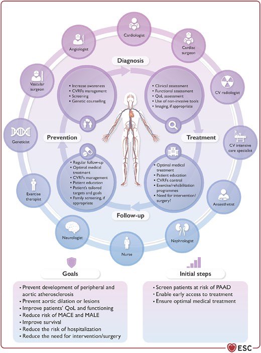 The ‘10 Commandments’ for 2024 guidelines on peripheral artery and aortic diseases

The guidelines emphasize a comprehensive evaluation of the entire arterial tree including the aorta for a multidisciplinary approach to diagnosis and management. This holistic assessment is