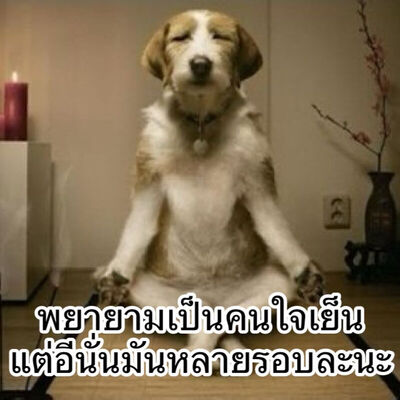 Siri_ayanaputra's tweet photo. บอกนุชให้ปล่อยผ่าน
Me:....... https://t.co/UDGofdrcST