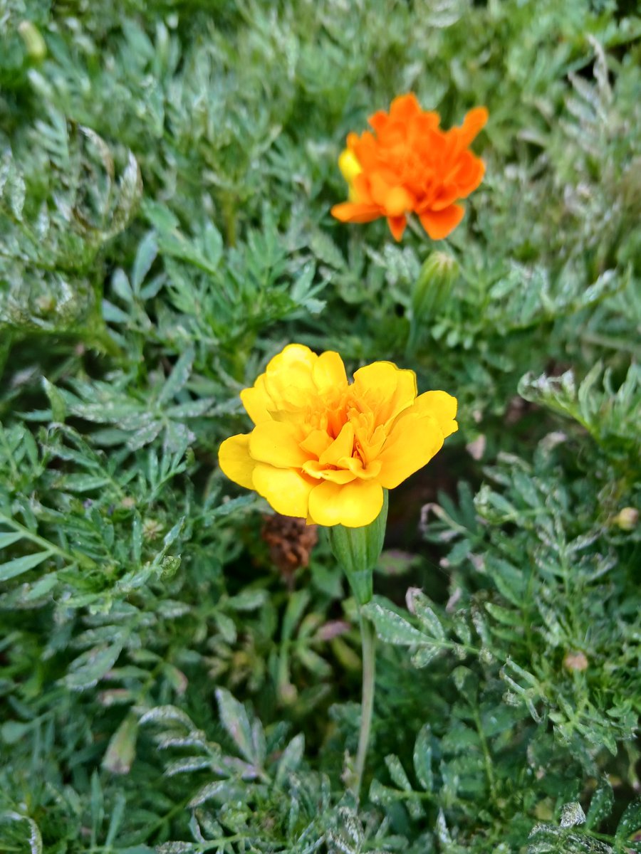 <a href="/apixsun/">Ludmila☀</a> HAPPYカンカン