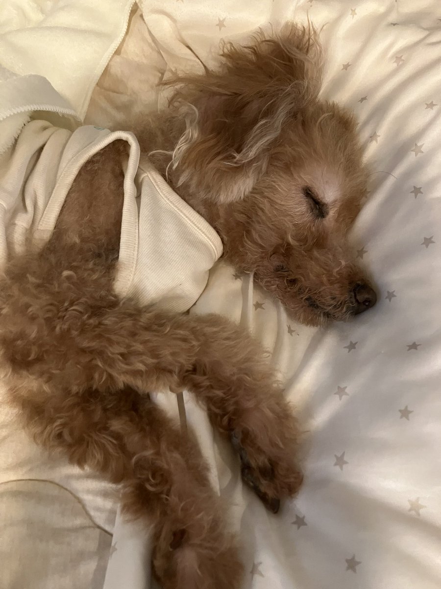 うちの可愛い子