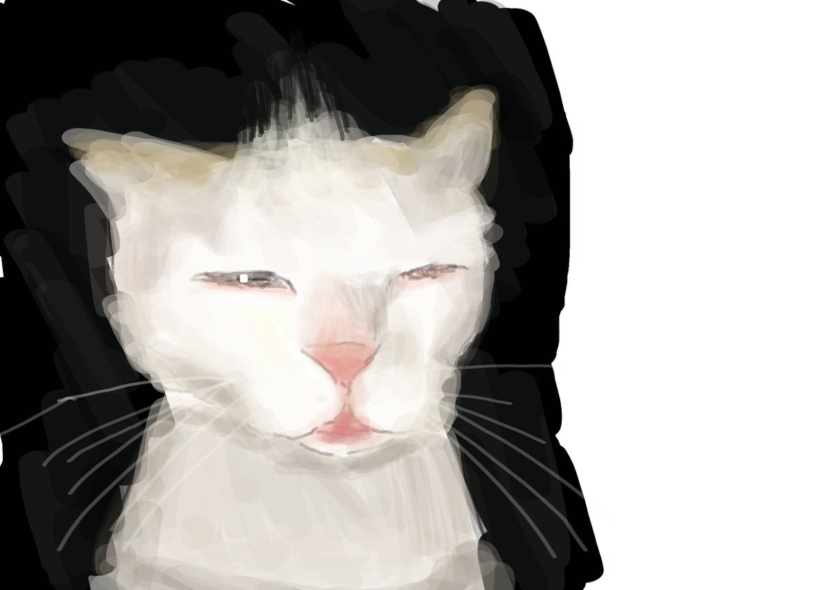 prljyx's tweet photo. eepy car quick drawing

#cat #drawing #digitalart https://t.co/fxrgRSciuB
