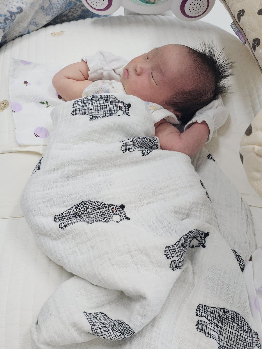 생존신고 하로옴🫠🫠🫠