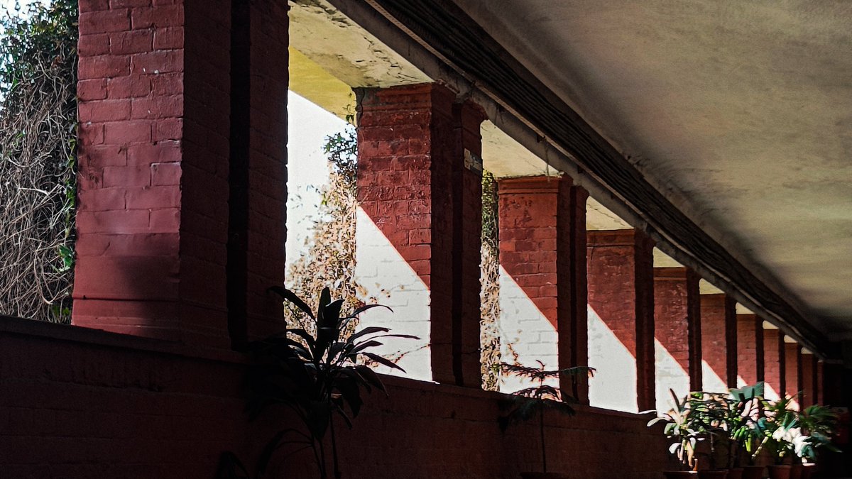 दोपहर की नींद के कच्चे कगारों पर।