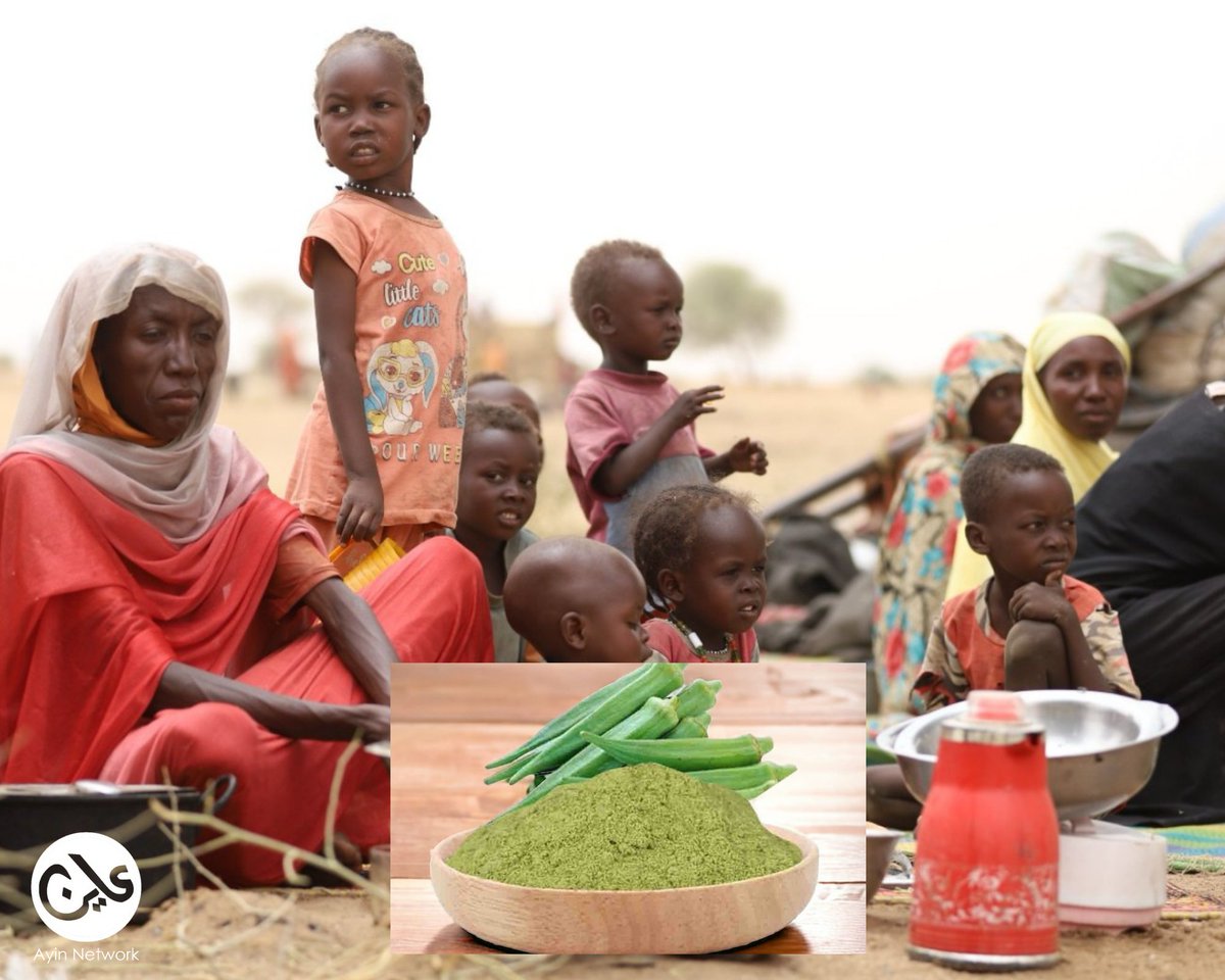 Local solutions: traditional foods to stave starvation

1️⃣ In Sudan, over 25 million people face acute hunger; malnutrition is rising, especially in conflict zones.
North Darfur: Over 40,000 children treated for severe acute malnutrition in the first 5 months of 2025, double 2024