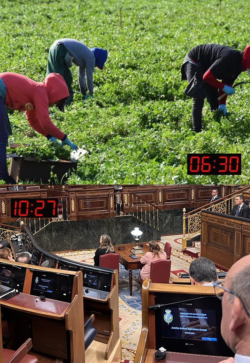 Cualquier bancal de la Región de Murcia a primera hora vs el escaño vacío de Abascal a media mañana. 

La España que madruga y la que se lo toma con calma.