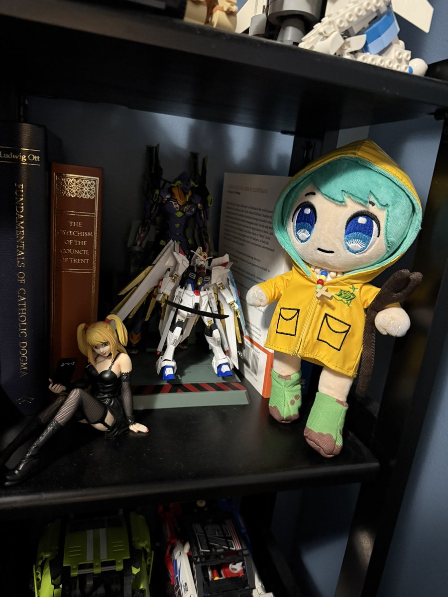 Finally I am HOME! And Luce can go back on the shelf with her friends!