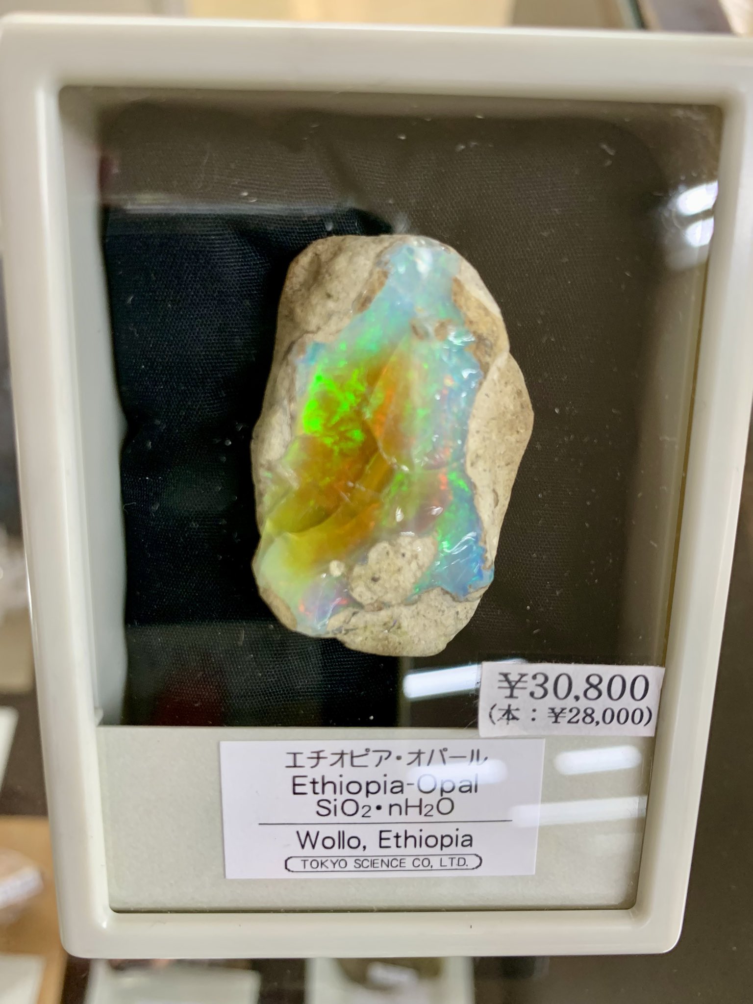 エチオピア　オパール　国立科学博物館 エチオピア オパール 国立科学博物館 コレクション - コレクション