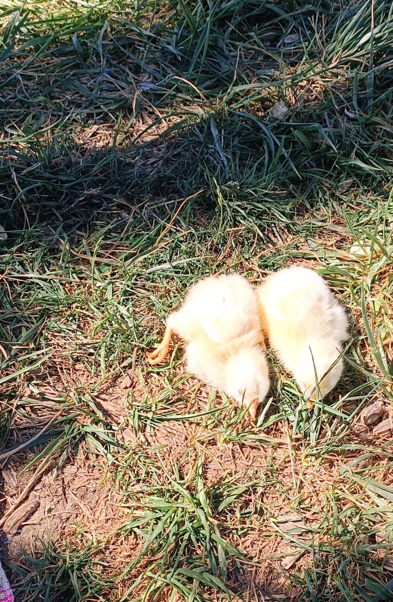 Güneşi gördüm :)