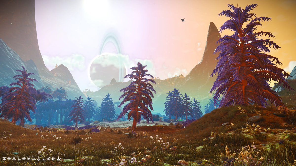 Happy Birthday No Mans Sky I've spent 9 incredible years and look forward to many more!!! <a href="/hellogames/">Hello Games</a> <a href="/NoMansSky/">Sean Murray</a> #nomansky