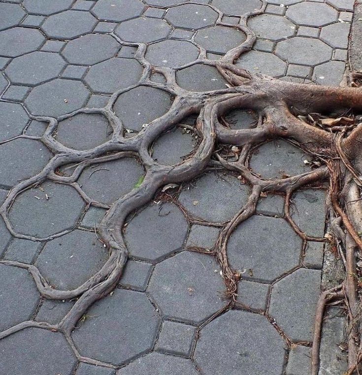 rare_jpg's tweet image. 