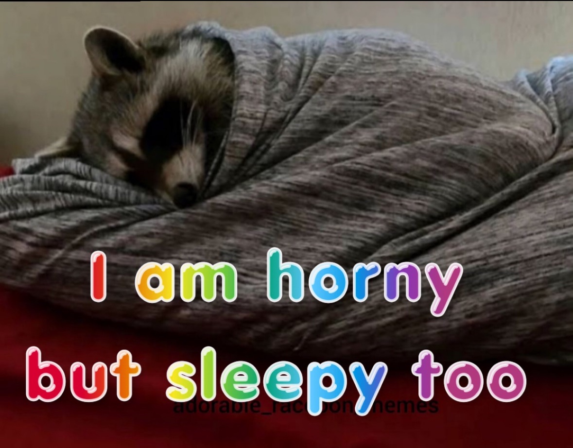 raccoon aesthetic. (@raccoonesthetic) on Twitter photo 