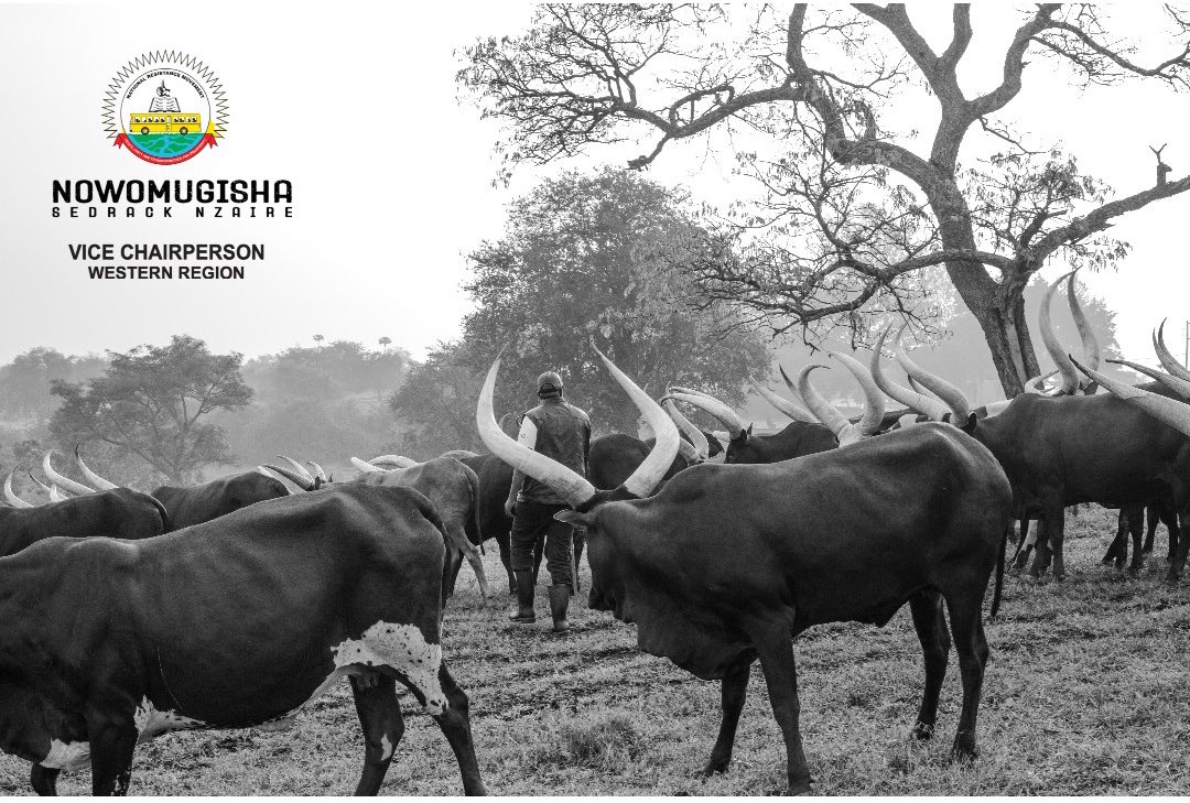 A Good Morning from the Ranch!

Blessed Sunday