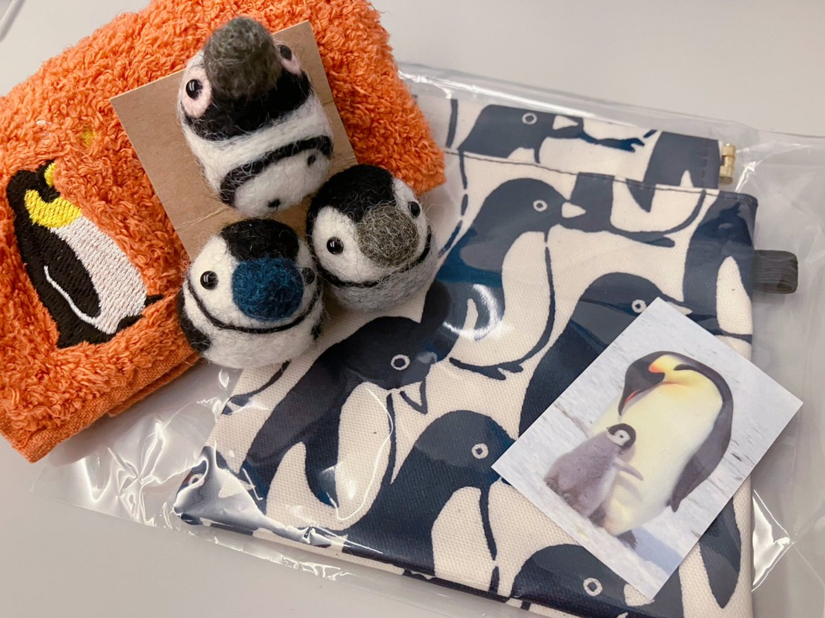 今日もイベントにかこつけてPGカフェさん🐧
須磨シーの子ペンギンたち連れていきました〜
密かに来店記念にひとつずつ集めてるブローチ、今回は(たぶん)マゼランさん！
気になってたポーチも買っちゃった🥰