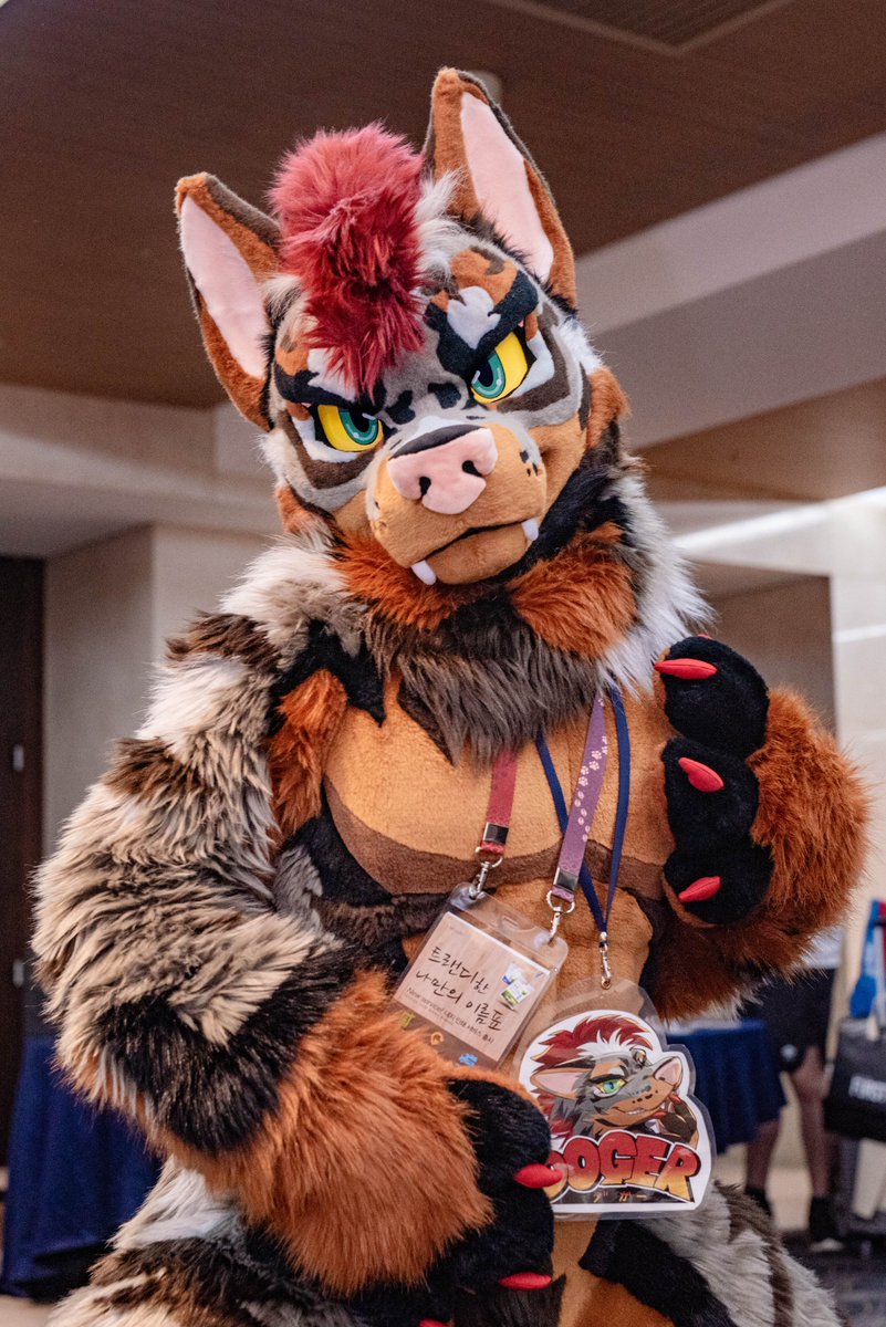 run_charizard's tweet image. let&apos;s go play!
#FurstClass