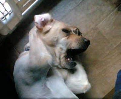 moonday (ia) tweet media