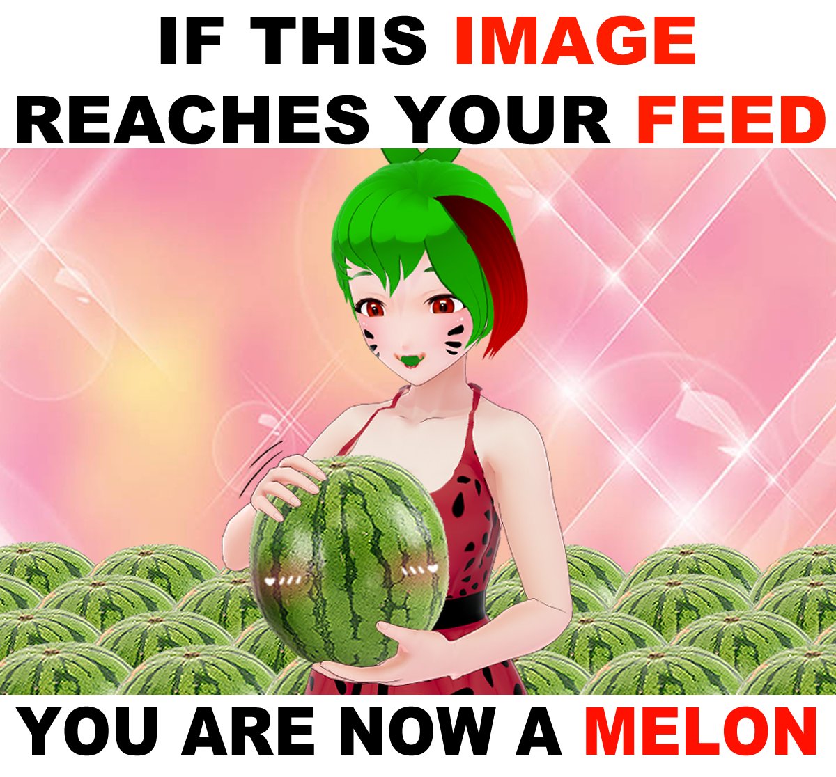 Melony The Melon 🍉(Melontuber)🍈 tweet media