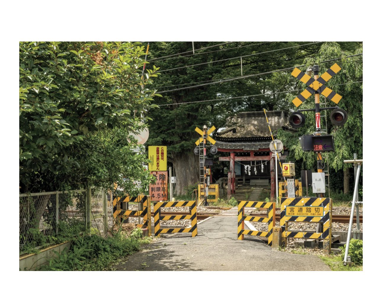 toshibo｜書籍『8月32日』｜廃墟と写真 on X: 