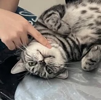 นุนิว: แต่จูลายเล่นกับเฮียบ่อย เล่นกับเฮียเยอะกว่าผมอีก

คือไรรรร จูตอบบบบ ไปเล่นตอนไหน ฉันเห็นแกกับผู้ชายกล้ามโตคนนั้นเจอกันก็ผ่านมาเกินปีแล้วนะ

#ฉลอง25ปีB2Sไปกับซีนุนิว
#zeenunew