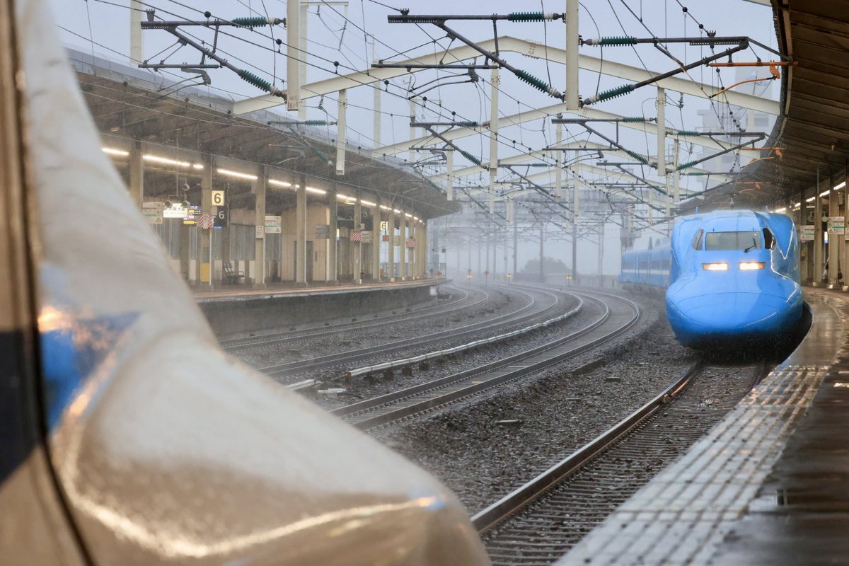 ダイソー (@dinsdaiso)  X