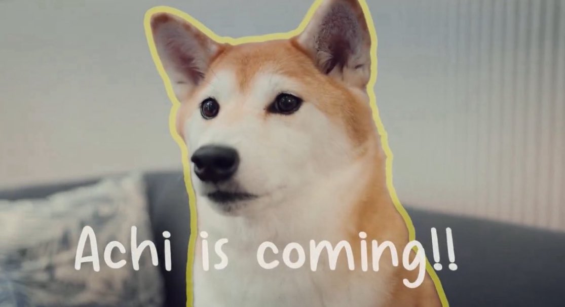 Good morning $achi fam

Remember, it always has been