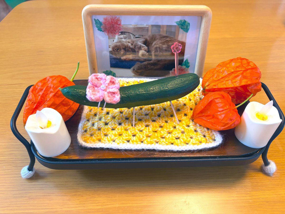 anco1222's tweet photo. 今年はお花つけときましたよ🌸
#エターナルマイスイートエンジェル
#スコティッシュフォールド https://t.co/rNUCmlg5eD