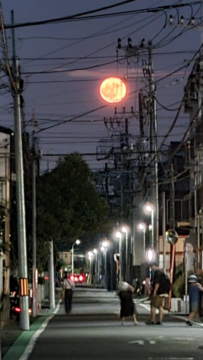 ayako44601's tweet photo. ９日は満月でした　目前に大きなお月様が見えて　路肩にバイク停めて撮りました https://t.co/oDxaHKHk3l