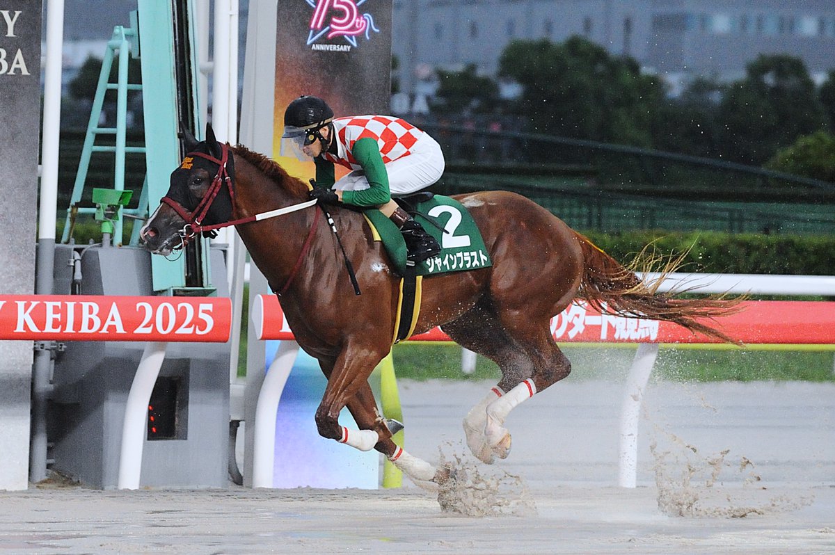 東京シティ競馬 (TCK) (@tck_keiba) on Twitter photo 【SEEK GLORY!】
8/10 大井2R #2歳新馬 では7頭がデビュー✨
新馬勝ちの栄光は、#矢野貴之 騎手騎乗の #シャインブラスト (#福田真広 厩舎) が掴みました!
同馬は #リアルダビスタ (<a href="/realdabista2525/">リアルダービースタリオン公式</a>) の企画馬です🐎
関係者の皆様、おめでとうございます㊗️
#SEEKGLORY
#TCK 【SEEK GLORY!】
8/10 大井2R #2歳新馬 では7頭がデビュー✨
新馬勝ちの栄光は、#矢野貴之 騎手騎乗の #シャインブラスト (#福田真広 厩舎) が掴みました!
同馬は #リアルダビスタ (<a href="/realdabista2525/">リアルダービースタリオン公式</a>) の企画馬です🐎
関係者の皆様、おめでとうございます㊗️
#SEEKGLORY
#TCK