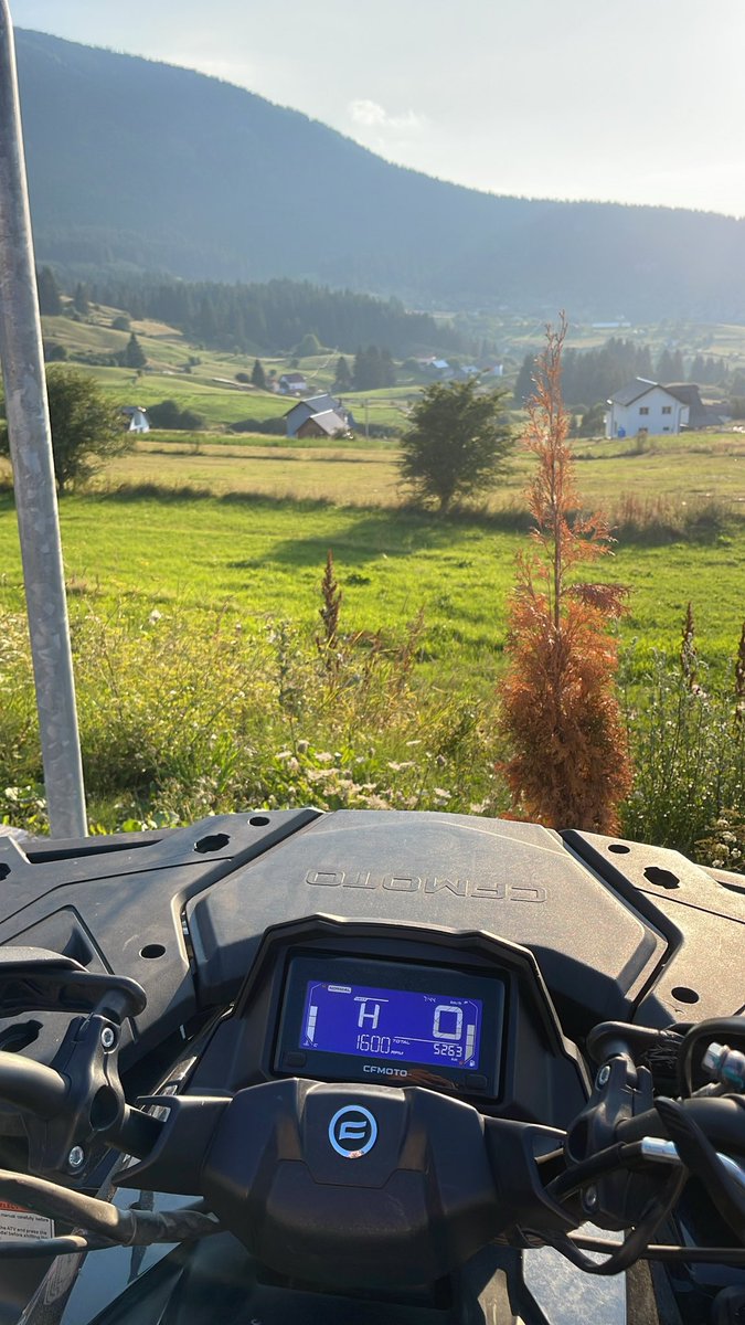 سلطان ع النعمان tweet media